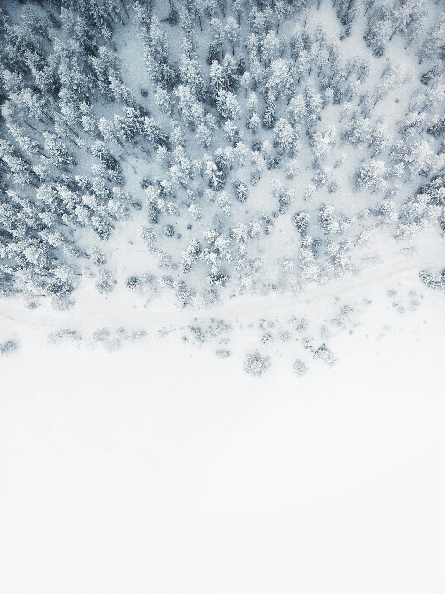 Eternal Snow